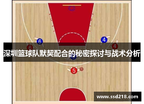 深圳篮球队默契配合的秘密探讨与战术分析